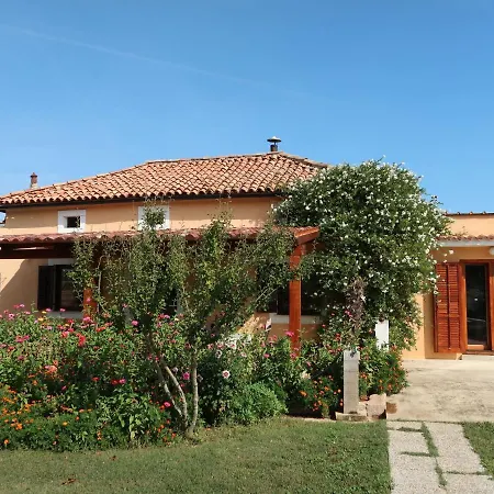 Ariana By Interhome *