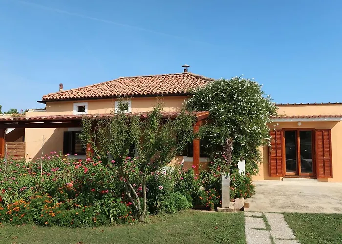 Ariana By Interhome *